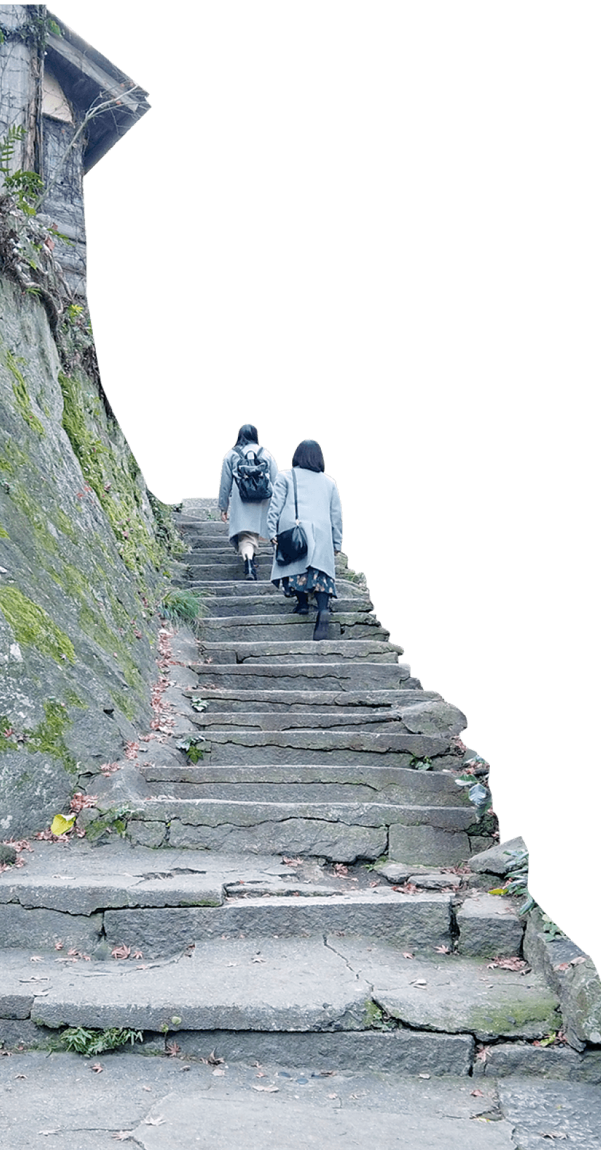 写真：2人の女性が階段を登っています