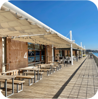 写真：猫が寝ています