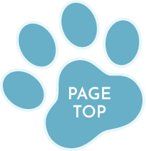 ボタン：PAGE TOP