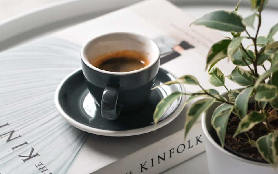 写真：本とコーヒーと植物